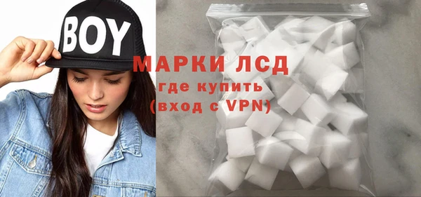 гашик Анива