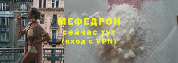 индика Анжеро-Судженск