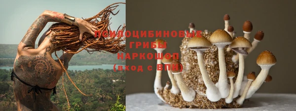 индика Анжеро-Судженск