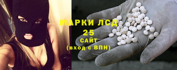 гашик Анива