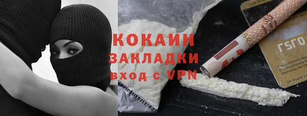 индика Анжеро-Судженск