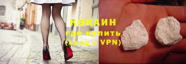 индика Анжеро-Судженск