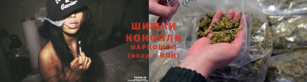 индика Анжеро-Судженск