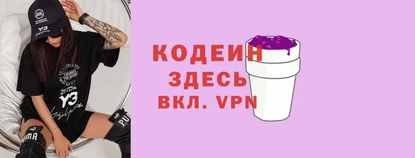 гашик Анива