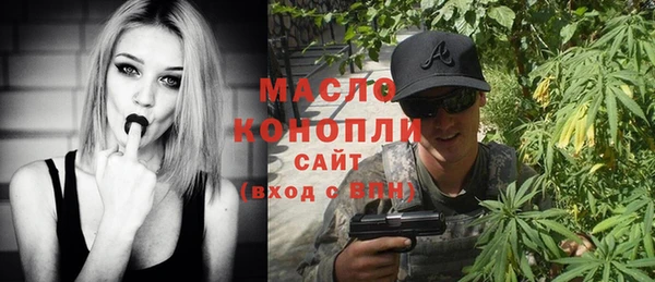 индика Анжеро-Судженск
