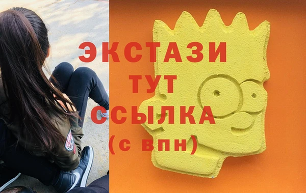 гашик Анива