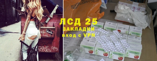 индика Анжеро-Судженск