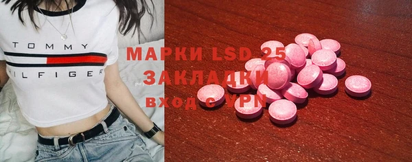 индика Анжеро-Судженск