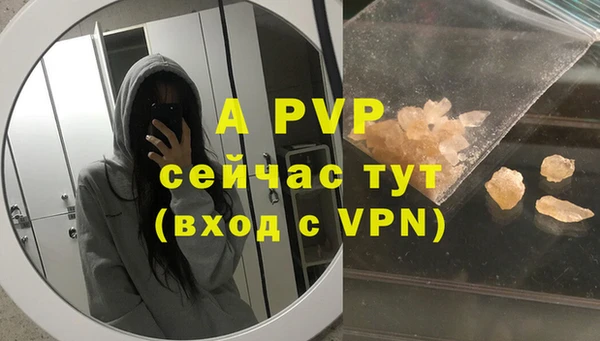 индика Анжеро-Судженск