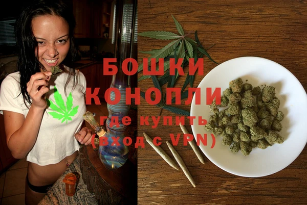 гашик Анива