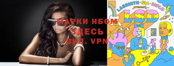 гашик Анива