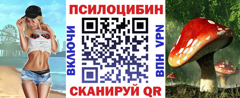 купить наркотик  Барыш  Галлюциногенные грибы MAGIC MUSHROOMS 
